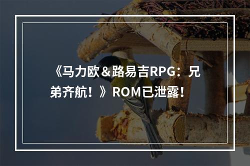 《马力欧＆路易吉RPG：兄弟齐航！》ROM已泄露！