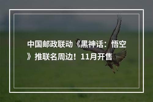 中国邮政联动《黑神话：悟空》推联名周边！11月开售