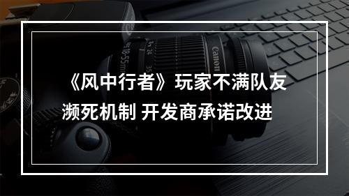 《风中行者》玩家不满队友濒死机制 开发商承诺改进