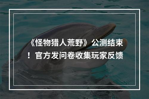 《怪物猎人荒野》公测结束！官方发问卷收集玩家反馈