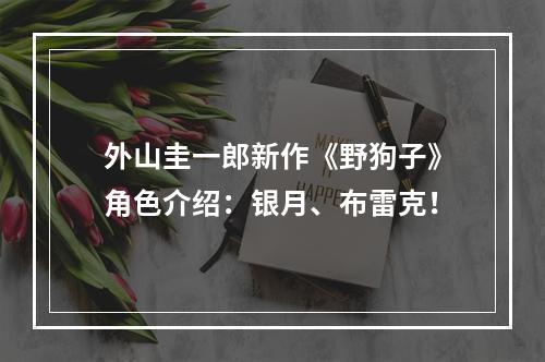 外山圭一郎新作《野狗子》角色介绍：银月、布雷克！