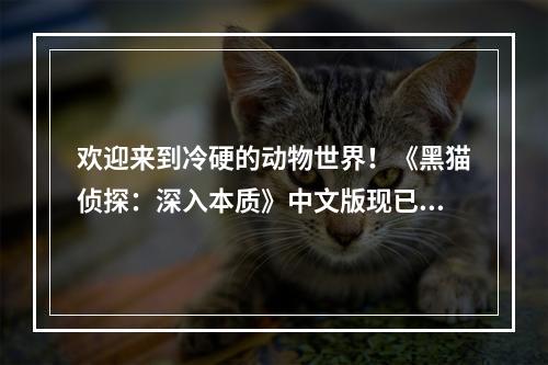 欢迎来到冷硬的动物世界！《黑猫侦探：深入本质》中文版现已推出