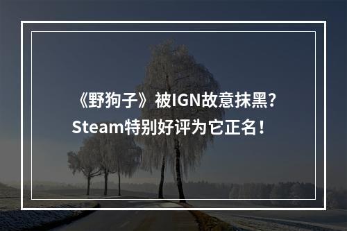 《野狗子》被IGN故意抹黑？Steam特别好评为它正名！