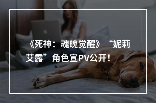 《死神：魂魄觉醒》“妮莉艾露”角色宣PV公开！