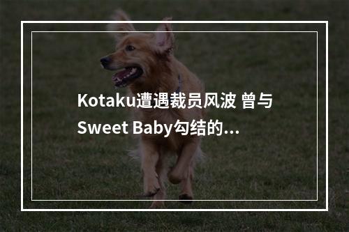 Kotaku遭遇裁员风波 曾与Sweet Baby勾结的编辑离职