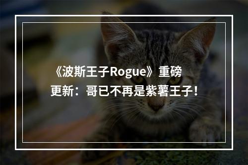 《波斯王子Rogue》重磅更新：哥已不再是紫薯王子！