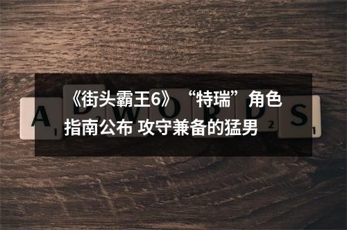 《街头霸王6》“特瑞”角色指南公布 攻守兼备的猛男