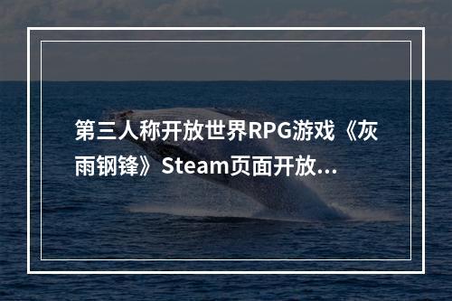 第三人称开放世界RPG游戏《灰雨钢锋》Steam页面开放！