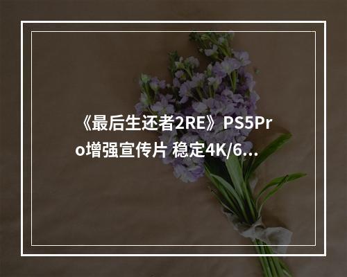 《最后生还者2RE》PS5Pro增强宣传片 稳定4K/60帧！