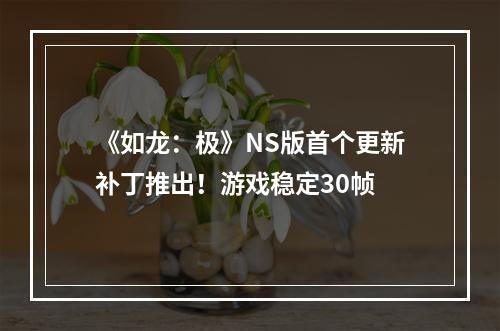 《如龙：极》NS版首个更新补丁推出！游戏稳定30帧