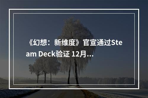 《幻想：新维度》官宣通过Steam Deck验证 12月发售