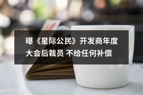 曝《星际公民》开发商年度大会后裁员 不给任何补偿