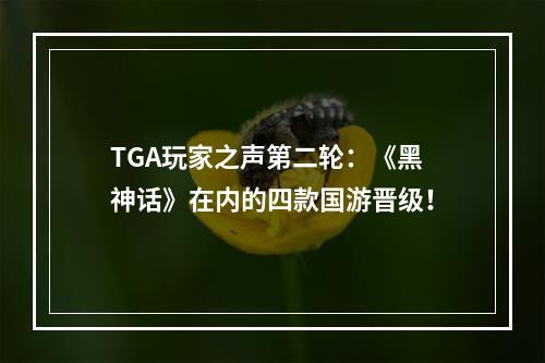 TGA玩家之声第二轮：《黑神话》在内的四款国游晋级！