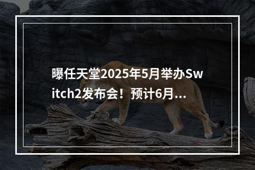 曝任天堂2025年5月举办Switch2发布会！预计6月发售