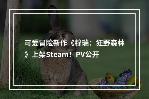 可爱冒险新作《穆瑞：狂野森林》上架Steam！PV公开