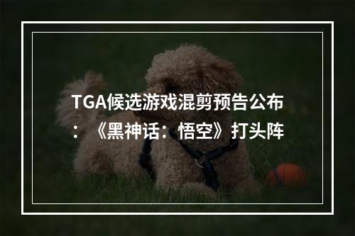 TGA候选游戏混剪预告公布：《黑神话：悟空》打头阵