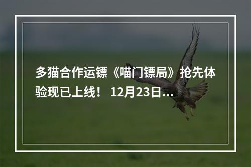 多猫合作运镖《喵门镖局》抢先体验现已上线！ 12月23日前享受限时首发折扣