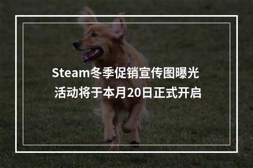 Steam冬季促销宣传图曝光 活动将于本月20日正式开启