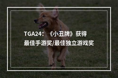 TGA24：《小丑牌》获得最佳手游奖/最佳独立游戏奖