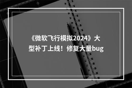 《微软飞行模拟2024》大型补丁上线！修复大量bug