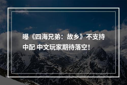 曝《四海兄弟：故乡》不支持中配 中文玩家期待落空！