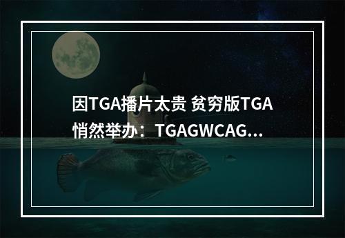 因TGA播片太贵 贫穷版TGA悄然举办：TGAGWCAGA