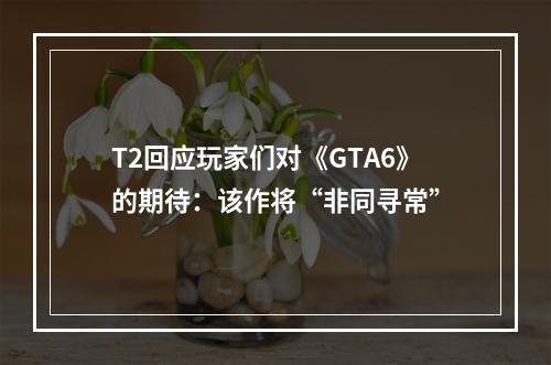 T2回应玩家们对《GTA6》的期待：该作将“非同寻常”