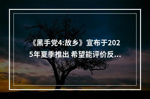 《黑手党4:故乡》宣布于2025年夏季推出 希望能评价反转