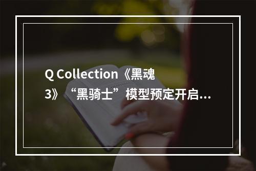 Q Collection《黑魂3》“黑骑士”模型预定开启！