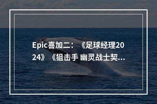 Epic喜加二：《足球经理2024》《狙击手 幽灵战士契约》