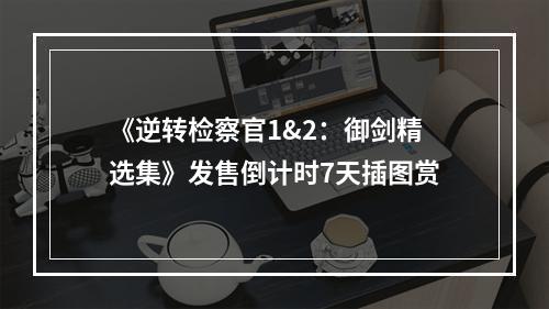 《逆转检察官1&2：御剑精选集》发售倒计时7天插图赏