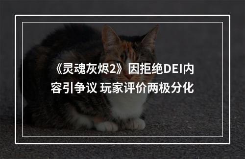 《灵魂灰烬2》因拒绝DEI内容引争议 玩家评价两极分化