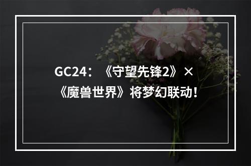 GC24：《守望先锋2》×《魔兽世界》将梦幻联动！