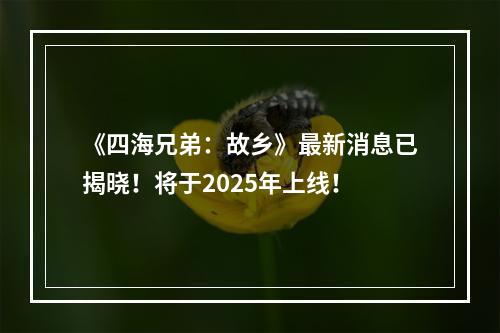 《四海兄弟：故乡》最新消息已揭晓！将于2025年上线！