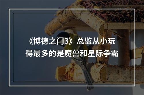 《博德之门3》总监从小玩得最多的是魔兽和星际争霸