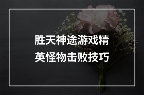 胜天神途游戏精英怪物击败技巧