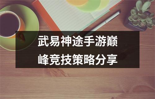 武易神途手游巅峰竞技策略分享