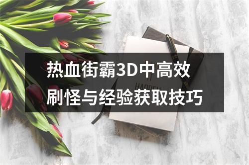 热血街霸3D中高效刷怪与经验获取技巧