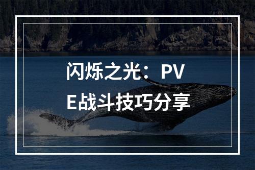 闪烁之光：PVE战斗技巧分享