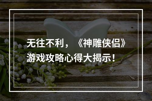 无往不利，《神雕侠侣》游戏攻略心得大揭示！