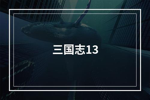 三国志13