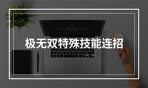 极无双特殊技能连招