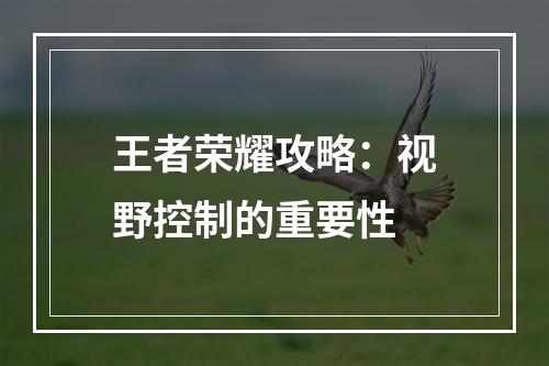 王者荣耀攻略：视野控制的重要性