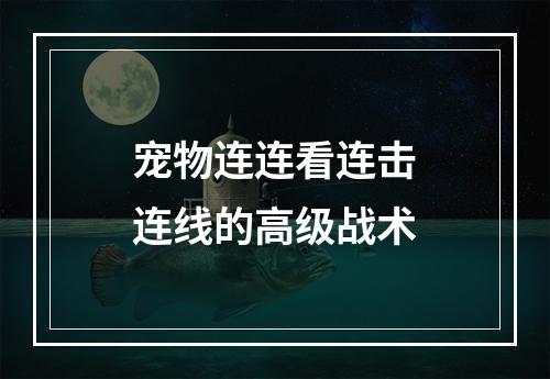 宠物连连看连击连线的高级战术