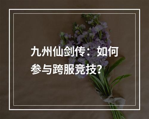 九州仙剑传：如何参与跨服竞技？