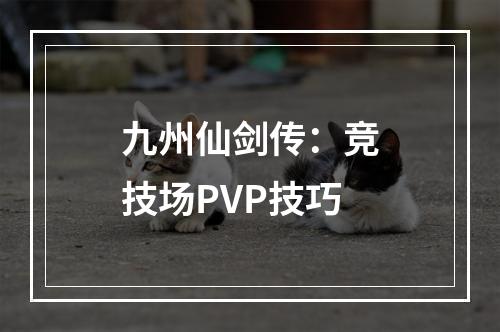 九州仙剑传：竞技场PVP技巧