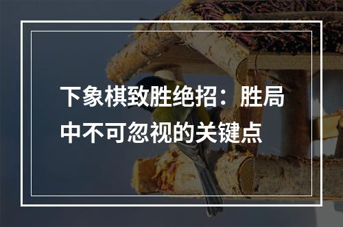 下象棋致胜绝招：胜局中不可忽视的关键点