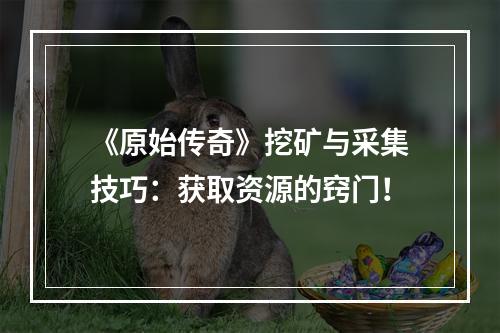 《原始传奇》挖矿与采集技巧：获取资源的窍门！