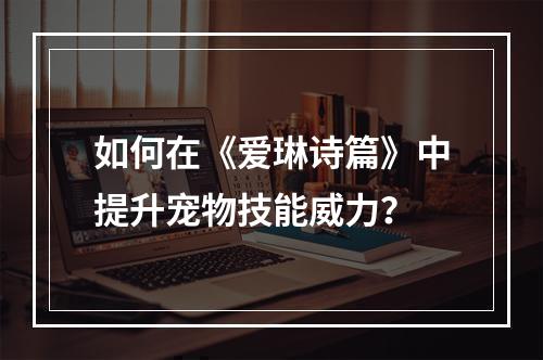 如何在《爱琳诗篇》中提升宠物技能威力？