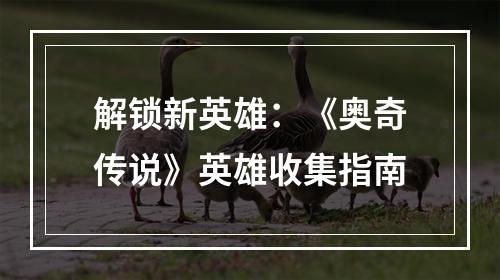 解锁新英雄：《奥奇传说》英雄收集指南